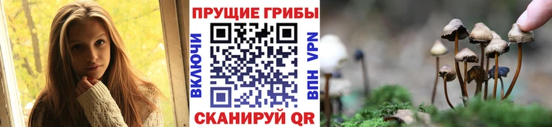 Псилоцибиновые грибы мицелий  Купить где  Карпинск 